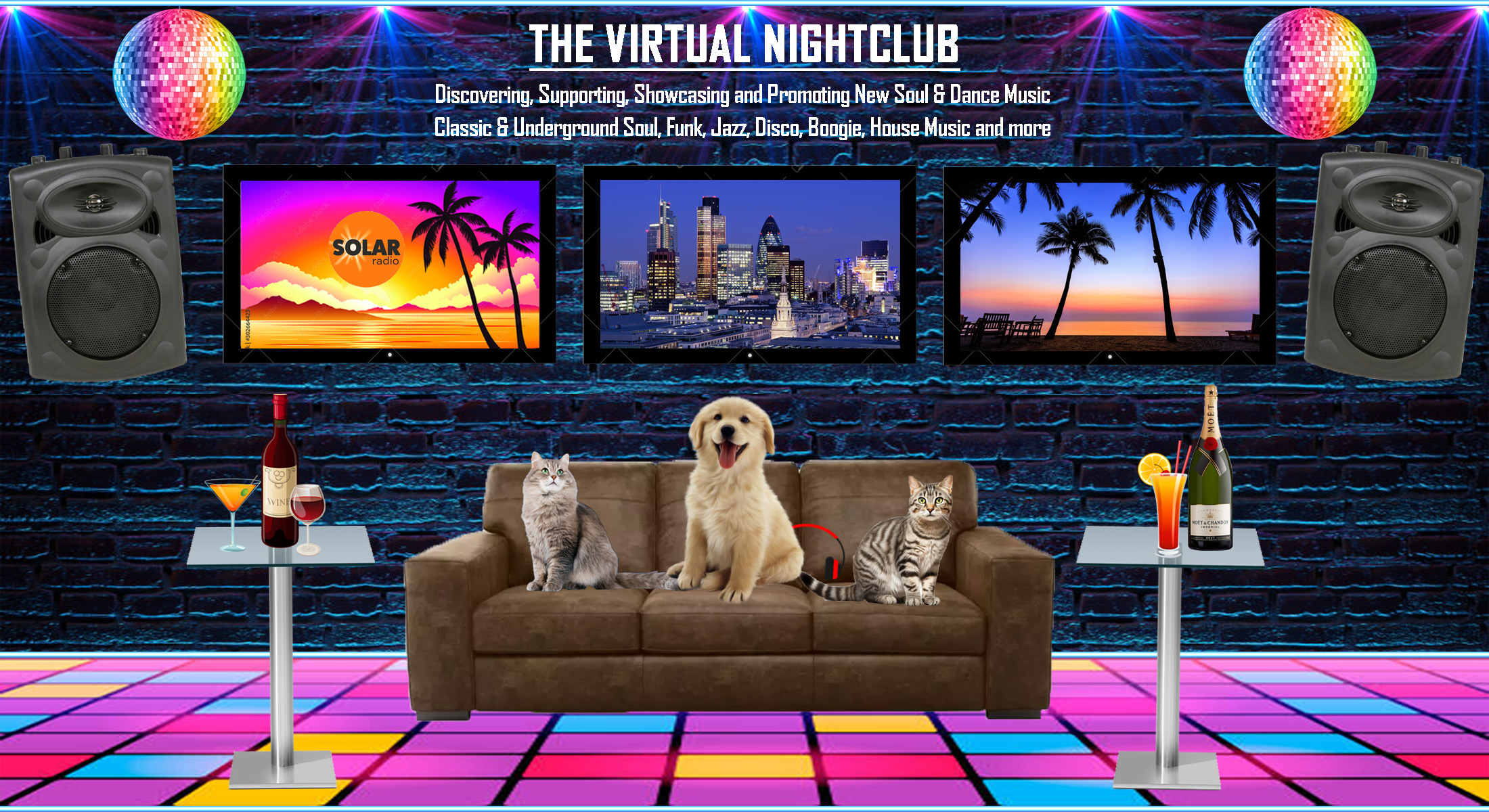 The Virtual Nightclub